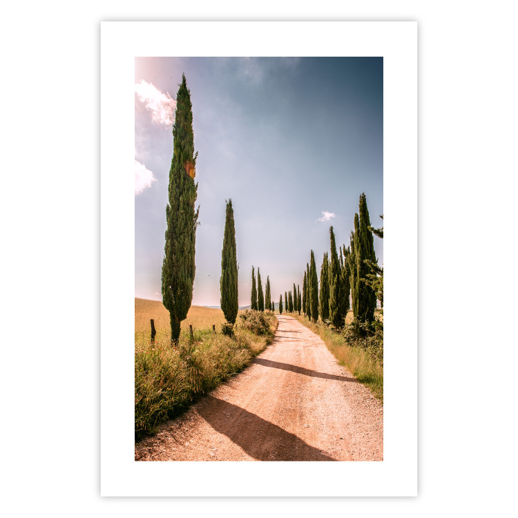 Wall Poster Italian Cypresses - landscape of a path with trees against a blue sky 138693 additionalImage 7