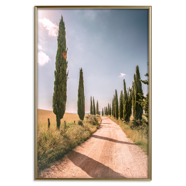 Wall Poster Italian Cypresses - landscape of a path with trees against a blue sky 138693 additionalImage 5