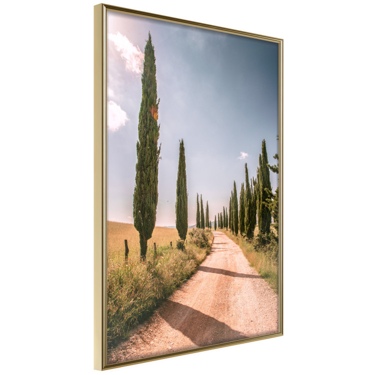 Wall Poster Italian Cypresses - landscape of a path with trees against a blue sky 138693 additionalImage 10