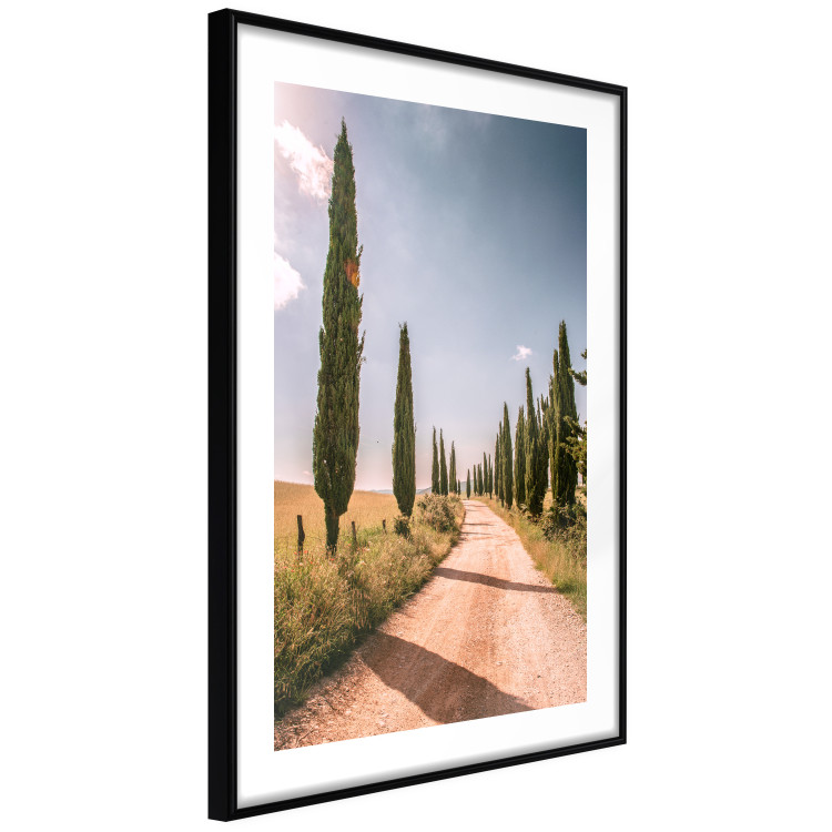 Wall Poster Italian Cypresses - landscape of a path with trees against a blue sky 138693 additionalImage 10
