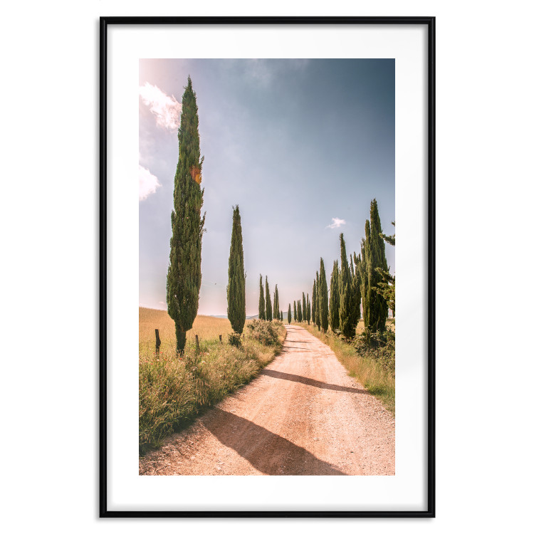 Wall Poster Italian Cypresses - landscape of a path with trees against a blue sky 138693 additionalImage 4