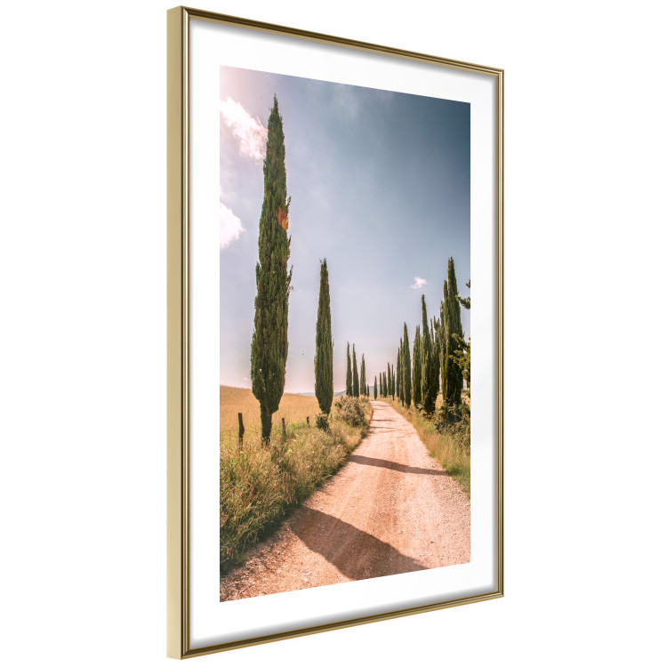 Wall Poster Italian Cypresses - landscape of a path with trees against a blue sky 138693 additionalImage 25
