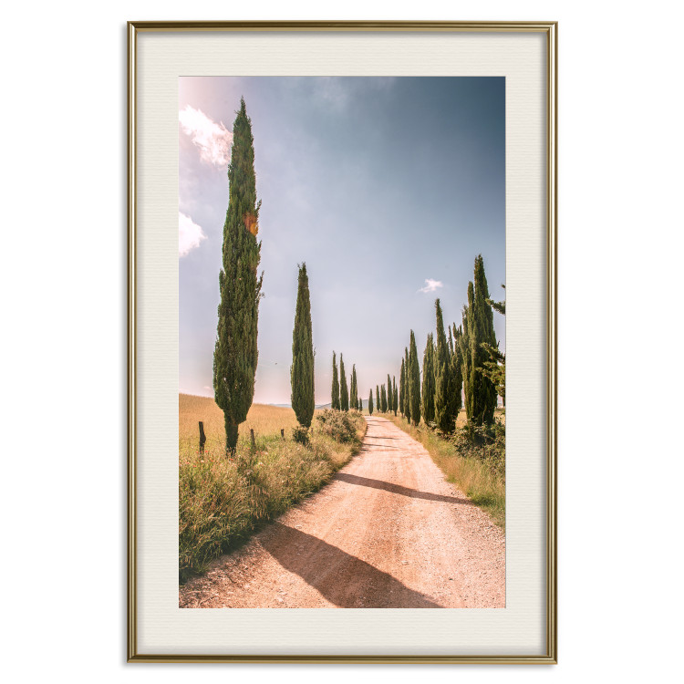 Wall Poster Italian Cypresses - landscape of a path with trees against a blue sky 138693 additionalImage 21