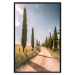 Wall Poster Italian Cypresses - landscape of a path with trees against a blue sky 138693 additionalThumb 18