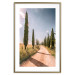 Wall Poster Italian Cypresses - landscape of a path with trees against a blue sky 138693 additionalThumb 7