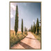 Wall Poster Italian Cypresses - landscape of a path with trees against a blue sky 138693 additionalThumb 5