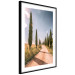 Wall Poster Italian Cypresses - landscape of a path with trees against a blue sky 138693 additionalThumb 10