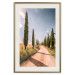 Wall Poster Italian Cypresses - landscape of a path with trees against a blue sky 138693 additionalThumb 21