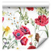 Modern Wallpaper Poppy Meadow 142793 additionalThumb 6