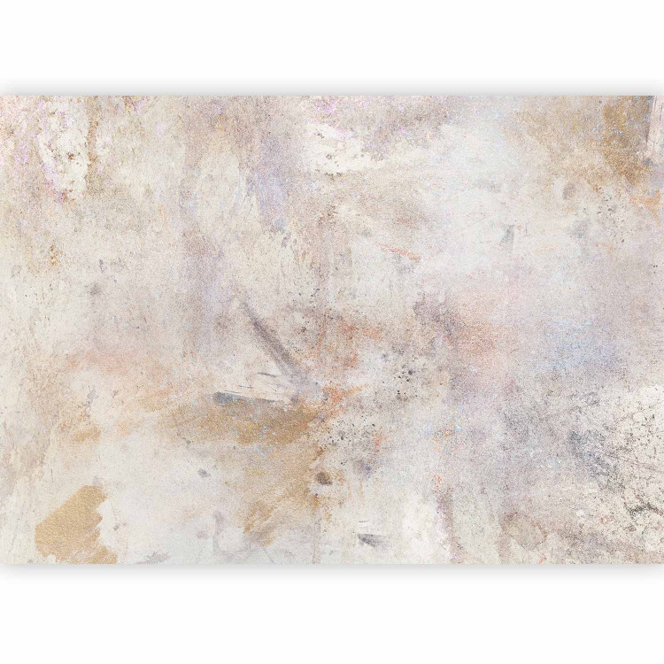Wall Mural Wall - non-uniform background of concrete texture with an abstraction of colours 143793 additionalImage 5