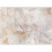 Wall Mural Wall - non-uniform background of concrete texture with an abstraction of colours 143793 additionalThumb 5