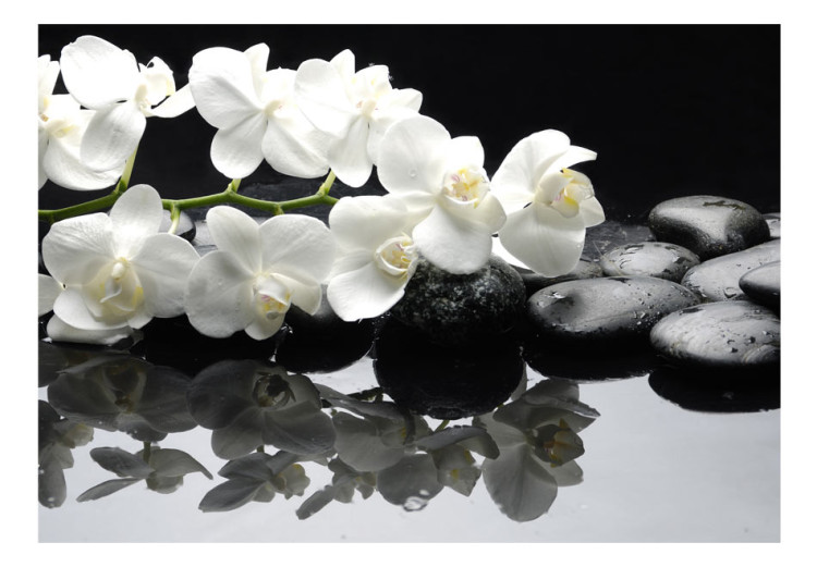 Wall Mural SPA, Stones and Orchid - Natural Floral Motifs on a Black Background 60193 additionalImage 1