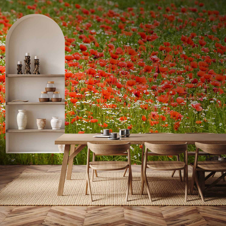 Wall Mural Floral Meadow - Green Meadow with Red Poppies in the Center 60393 additionalImage 4