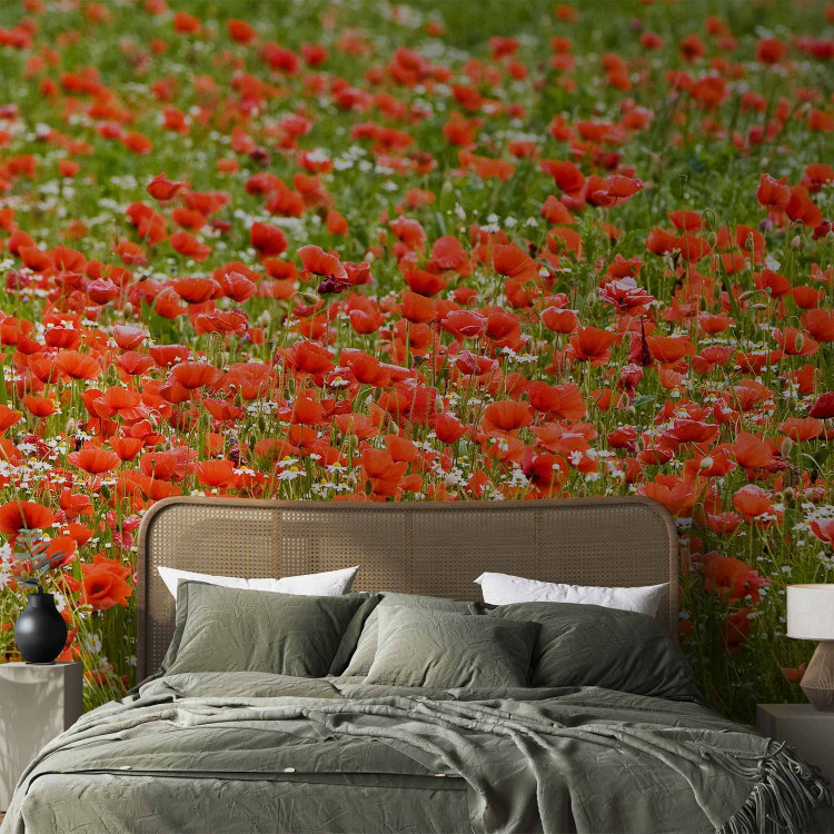 Wall Mural Floral Meadow - Green Meadow with Red Poppies in the Center 60393 additionalImage 2