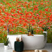 Wall Mural Floral Meadow - Green Meadow with Red Poppies in the Center 60393 additionalThumb 8