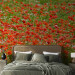 Wall Mural Floral Meadow - Green Meadow with Red Poppies in the Center 60393 additionalThumb 2