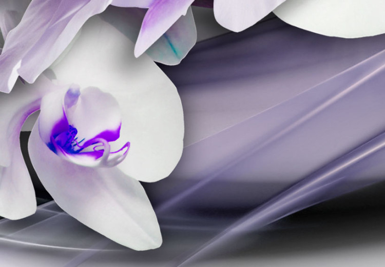 Print On Glass Coolness of Orchid [Glass] 92393 additionalImage 4