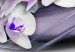 Print On Glass Coolness of Orchid [Glass] 92393 additionalThumb 4