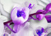 Print On Glass Coolness of Orchid [Glass] 92393 additionalThumb 5
