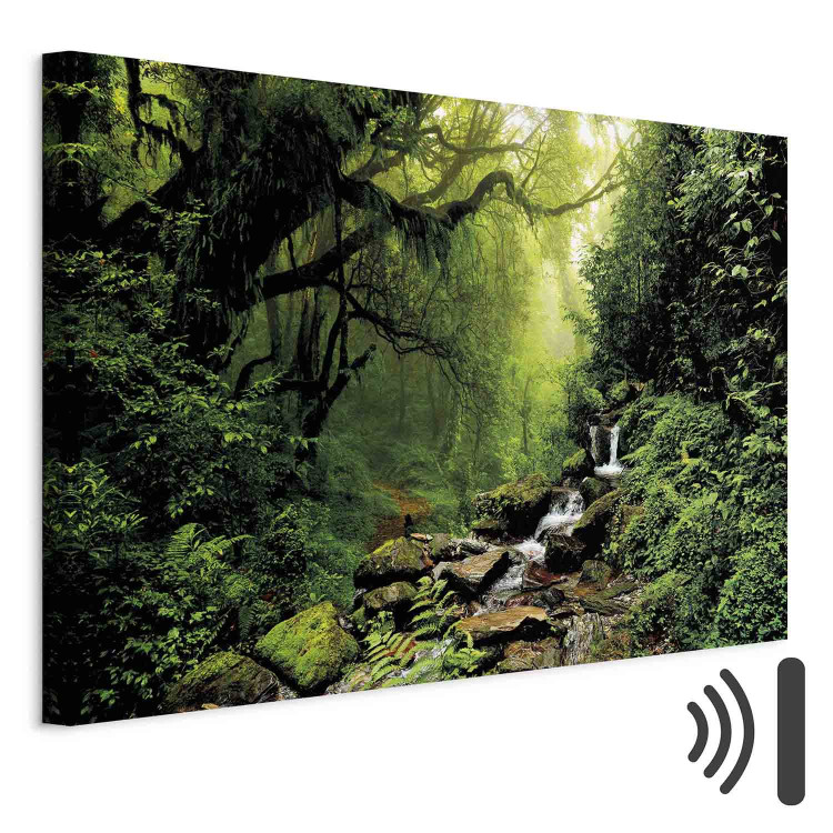 Canvas Print Waterfall in the Forest 98193 additionalImage 8