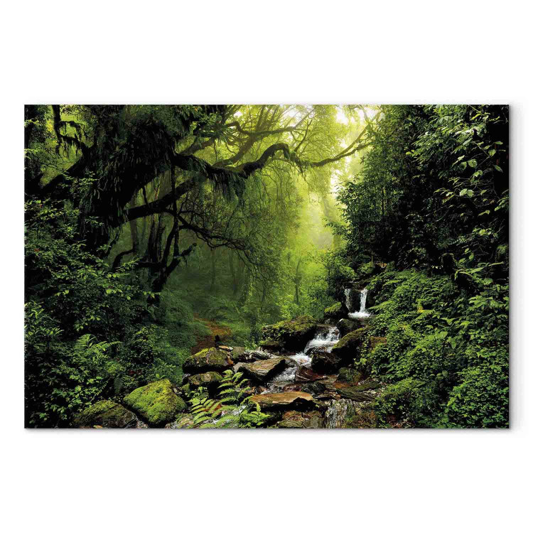 Canvas Print Waterfall in the Forest 98193