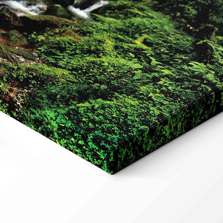 Canvas Print Waterfall in the Forest 98193 additionalImage 6