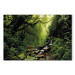 Canvas Print Waterfall in the Forest 98193 additionalThumb 7