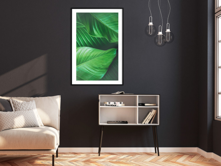 Poster Beautiful Greenery - frame of tropical leaves in the midst of an exotic jungle 114304 additionalImage 6