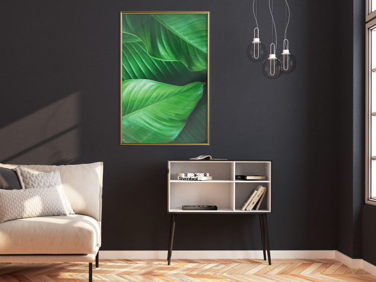 Poster Beautiful Greenery - frame of tropical leaves in the midst of an exotic jungle 114304 additionalImage 7