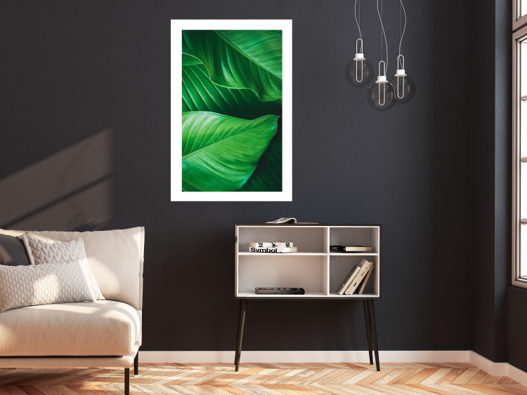 Poster Beautiful Greenery - frame of tropical leaves in the midst of an exotic jungle 114304 additionalImage 2