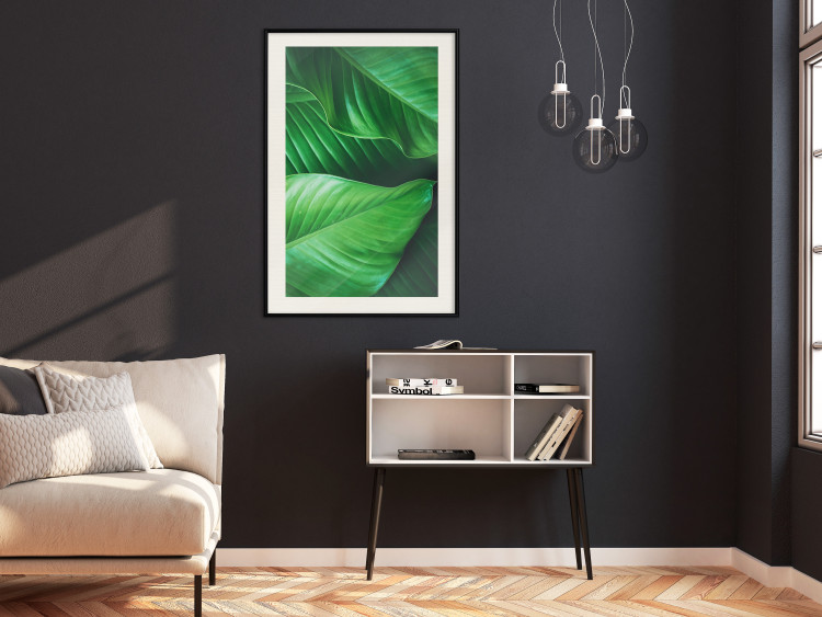 Poster Beautiful Greenery - frame of tropical leaves in the midst of an exotic jungle 114304 additionalImage 22