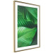 Poster Beautiful Greenery - frame of tropical leaves in the midst of an exotic jungle 114304 additionalThumb 8