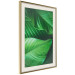 Poster Beautiful Greenery - frame of tropical leaves in the midst of an exotic jungle 114304 additionalThumb 2