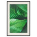 Poster Beautiful Greenery - frame of tropical leaves in the midst of an exotic jungle 114304 additionalThumb 25