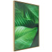 Poster Beautiful Greenery - frame of tropical leaves in the midst of an exotic jungle 114304 additionalThumb 14