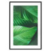 Poster Beautiful Greenery - frame of tropical leaves in the midst of an exotic jungle 114304 additionalThumb 19