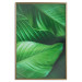 Poster Beautiful Greenery - frame of tropical leaves in the midst of an exotic jungle 114304 additionalThumb 17