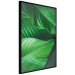 Poster Beautiful Greenery - frame of tropical leaves in the midst of an exotic jungle 114304 additionalThumb 10