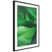 Poster Beautiful Greenery - frame of tropical leaves in the midst of an exotic jungle 114304 additionalThumb 13