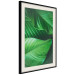 Poster Beautiful Greenery - frame of tropical leaves in the midst of an exotic jungle 114304 additionalThumb 3