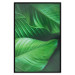 Poster Beautiful Greenery - frame of tropical leaves in the midst of an exotic jungle 114304 additionalThumb 16