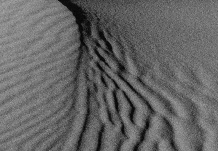Poster Desert in Morocco - black and white landscape amid hot sands 116504 additionalImage 10