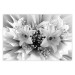 Poster Geometric Bouquet - black and white unique abstraction in lily flowers 117204