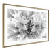 Poster Geometric Bouquet - black and white unique abstraction in lily flowers 117204 additionalThumb 6
