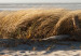 Canvas Abandoned Beach (3 Parts) 122204 additionalThumb 5