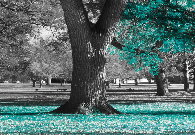 Large canvas print Autumn in the Park (Turquoise) II [Large Format] 125604 additionalImage 4