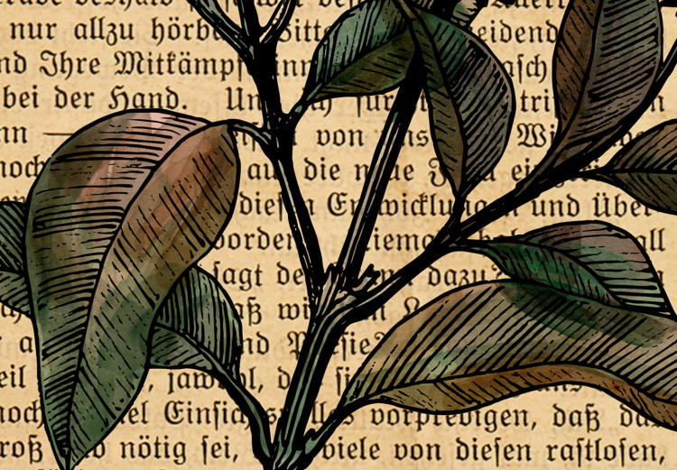Canvas Print Basil Poetry (1-part) vertical - plant in vintage motif 129404 additionalImage 5
