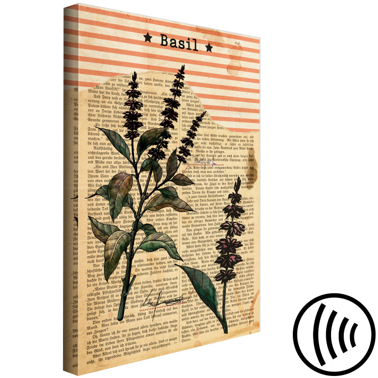 Canvas Print Basil Poetry (1-part) vertical - plant in vintage motif 129404 additionalImage 6