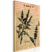 Canvas Print Basil Poetry (1-part) vertical - plant in vintage motif 129404 additionalThumb 2