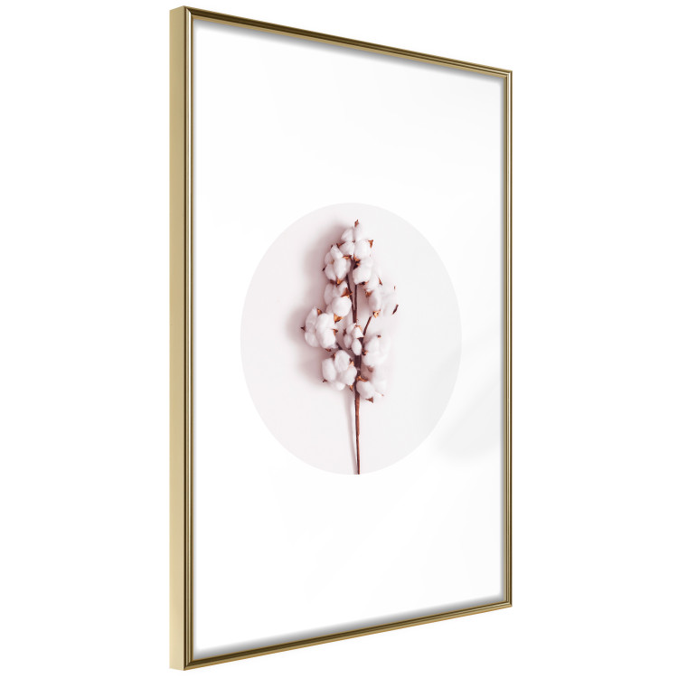 Poster Soft Cotton - plant with cotton in a circle against a light pink contrast 134504 additionalImage 9